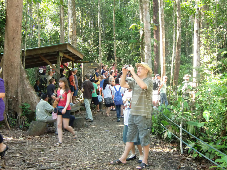 Borneo, Semenggoh Wildlife Centre