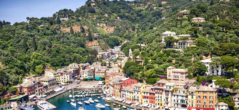 Kobieta pogryziona przez dzika na włoskiej plaży. Przyciągnęła go pizza