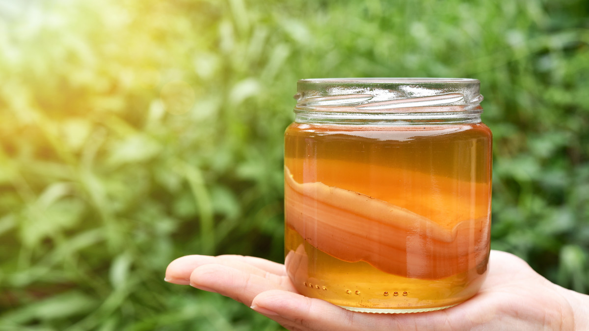 Kombucha, napój na bazie słodkiej herbaty, to idealna propozycja na lato. Jest niezwykle orzeźwiający, dzięki czemu z powodzeniem może zastąpić popularne napoje gazowane, równocześnie w znaczący sposób poprawiając naszą kondycję. Kolejną jego zaletą jest fakt, że można go przygotować w domu.