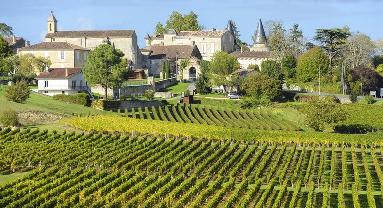 Rolling vineyards in Bordeaux, France, one of the most famous wine growing regions in the world.Shutterstock