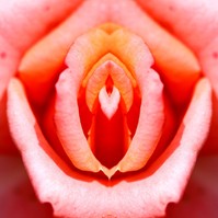 Ozempic-vagina: amikor a gyors fogyás az intim zónát is megváltoztatja