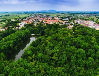 Kontrola sprawozdań budżetowych: jakie uprawnienia ma komisja rewizyjna