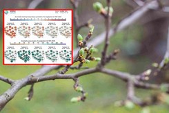 Zima jeszcze wróci? Najnowsza prognoza pogody na 5 tygodni