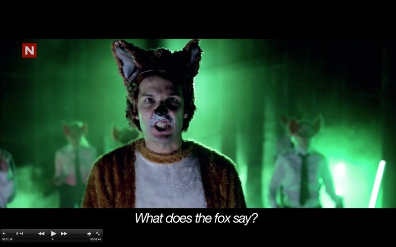 Kadry z klipu do 'What does the Fox say?'