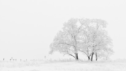 Az ország több része is behavazódott – Nézegessen látványos fotókat az igazi télről!