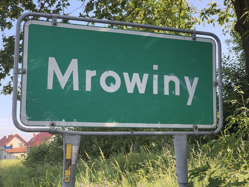 Mrowiny