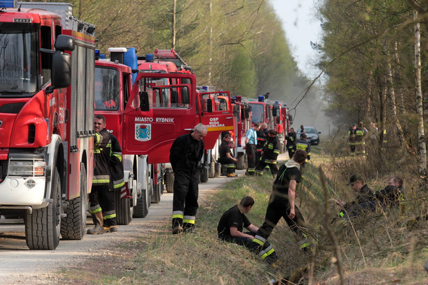 Wielkie pożary lasów na Śląsku