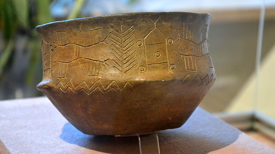 Przykład ceramiki z kultury pucharów lejkowatych ok. 3550 p.n.e., Bronocice w woj. Świętokrzyskim. Foto: Silar (CC BY-SA 3.0)