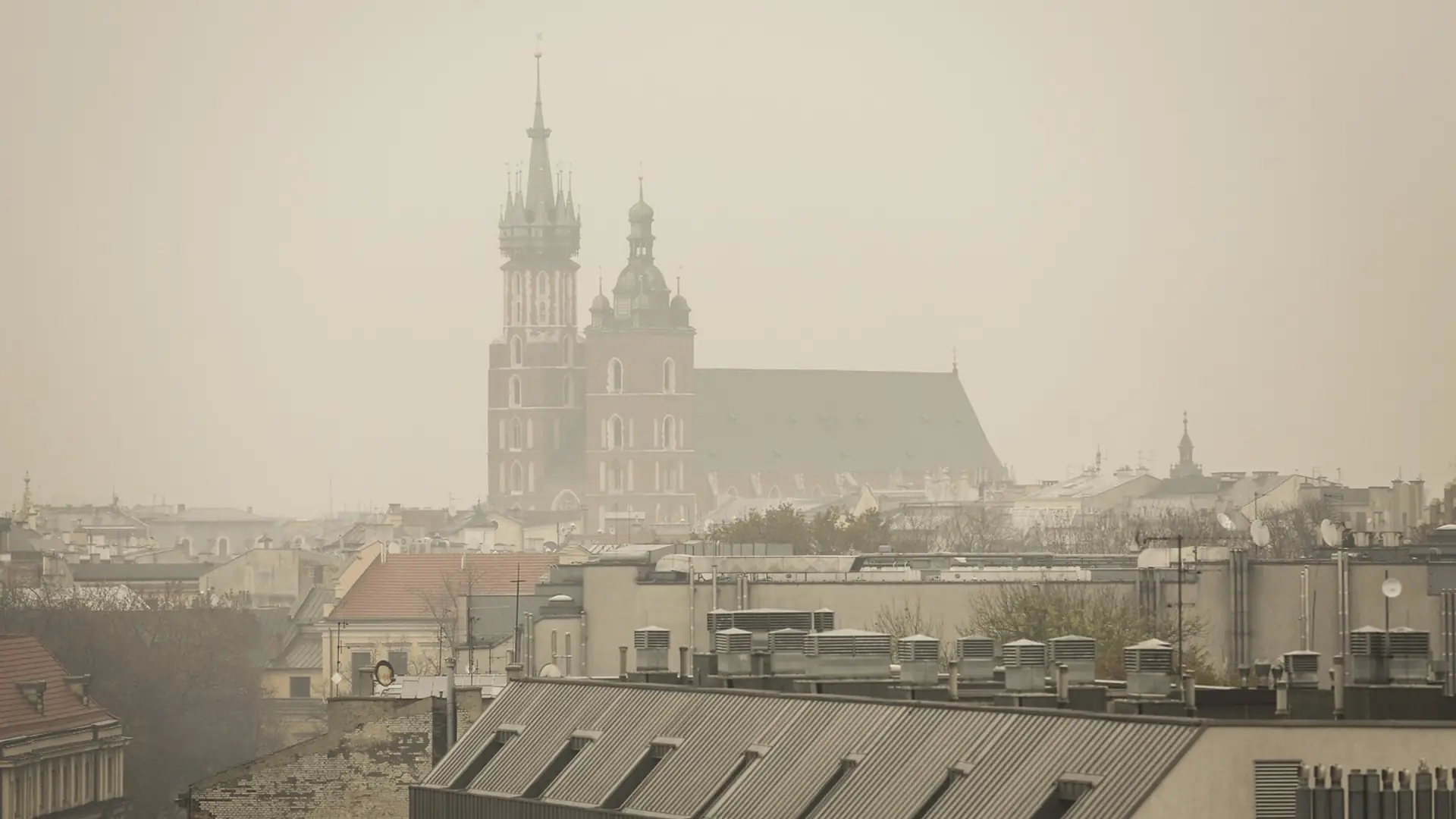 5 produktów, które oczyszczą płuca nawet z "krakowskiego powietrza"