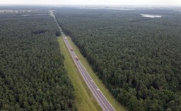 Czy Via Carpatia ominie cenne bagna