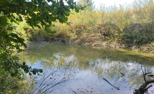 Kraków kupuje działkę na Zakrzówku za 1,43 mln zł. Powstanie większy park leśny