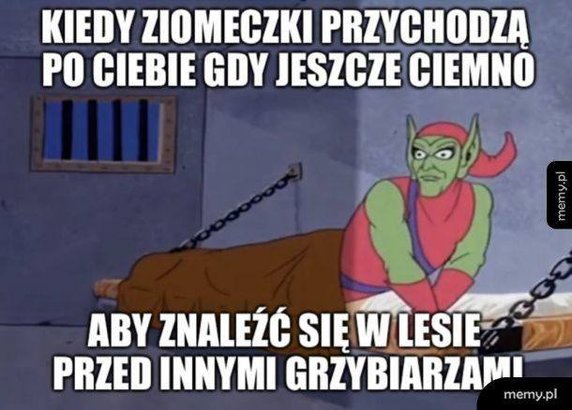 Sezon na grzyby rozpoczęty