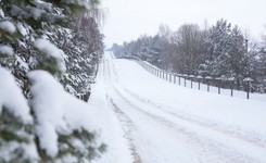 Przemytnik porzucił na mrozie 19 uchodźców. Bo zepsuł mu się samochód...