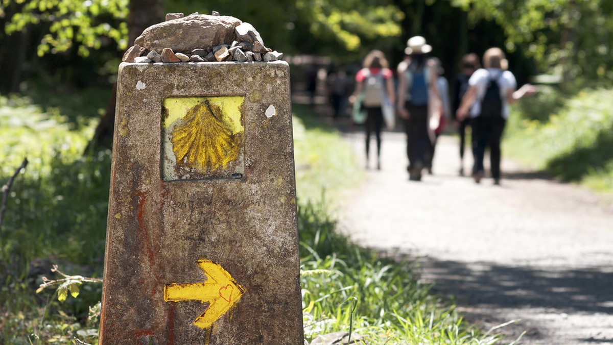 Camino de Santiago - Przez Polskę przebiega 26 Dróg Jakubowych