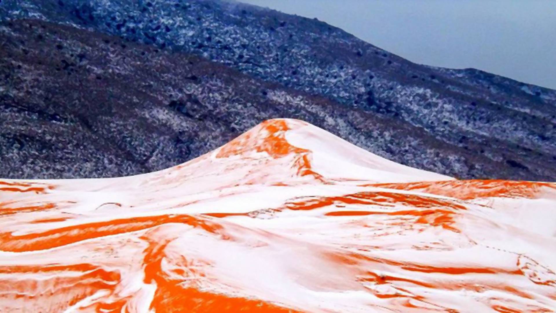 Śnieg na Saharze po raz pierwszy od 37 lat. Zobacz niesamowite zdjęcia