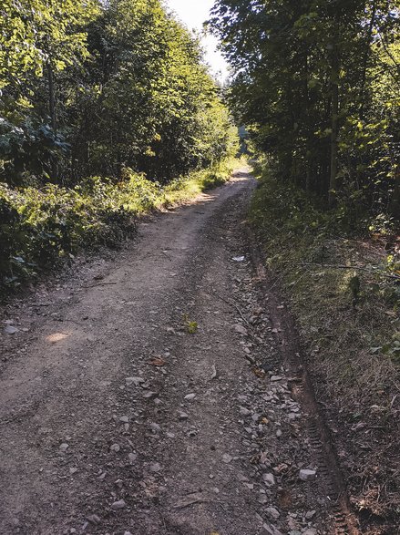 Na trasie pojawia się trochę więcej kamieni