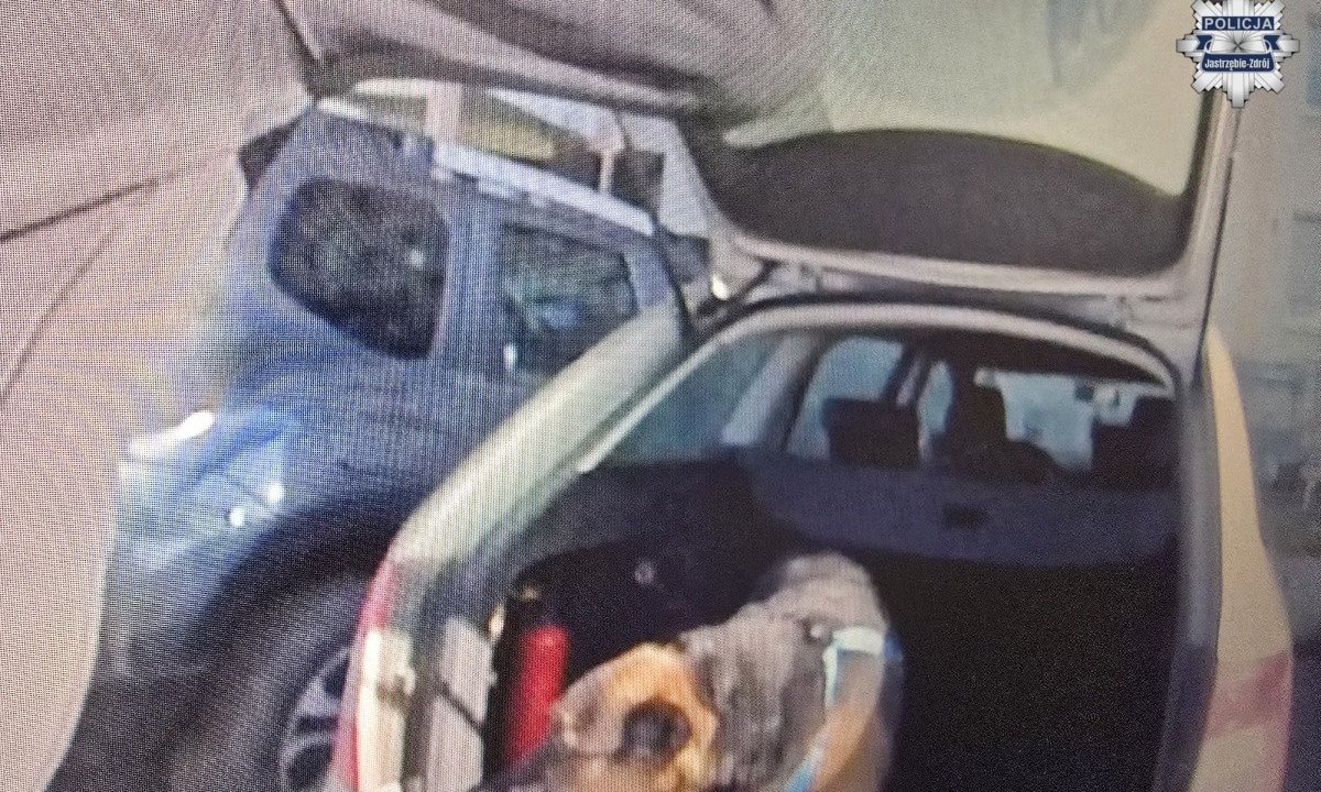 Policjanci uratowali psa zamkniętego w samochodzie. Był tam przez cztery godziny