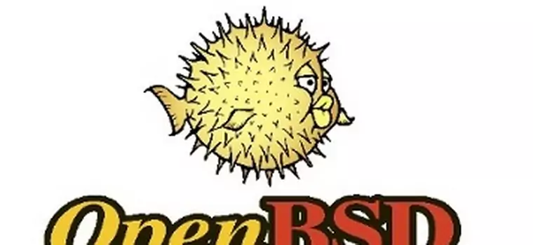 OpenBSD jednak bez furtek?