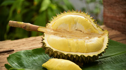 Durian – charakterystyka, właściwości, zastosowanie, ciekawostki