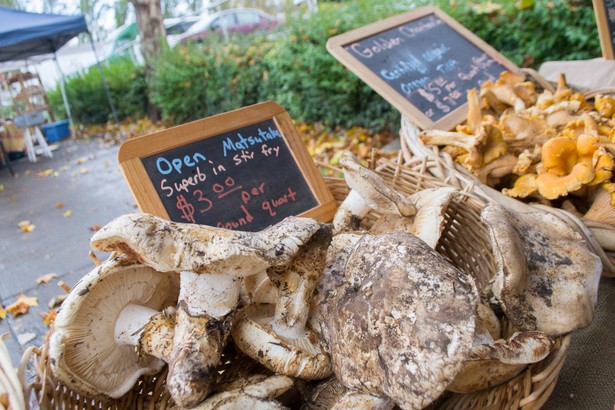 W świecie kulinarnych rarytasów, gdzie królują trufle i czarny kawior, istnieje rzadki skarb, który przyćmiewa je ceną i ekskluzywnością. Mowa o matsutake.