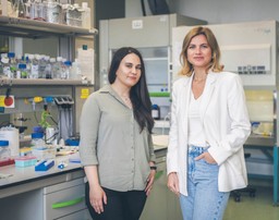 Kleszczowe zapalenie mózgu. Zagrożenia, profilaktyka i nowe technologie szczepień