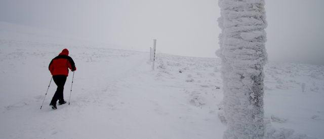 Galeria Polska - Bieszczady w zimowej szacie, obrazek 4