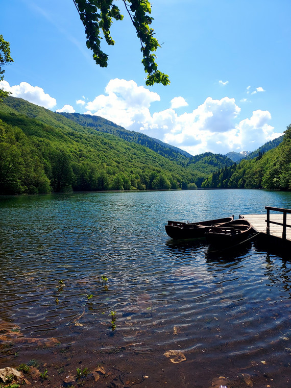Jezioro Biogradsko położone w Parku Narodowym Biogradska Gora