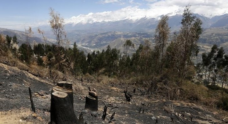 Deforestation is seen in a village in Carhuaz in the Andean region of Ancash, November 28, 2014. REUTERS/ Mariana Bazo