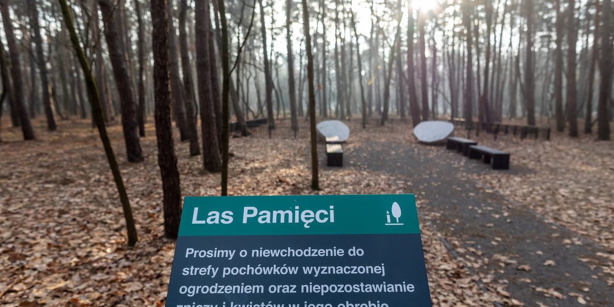 Na poznańskim Junikowie powstał las pamięci.