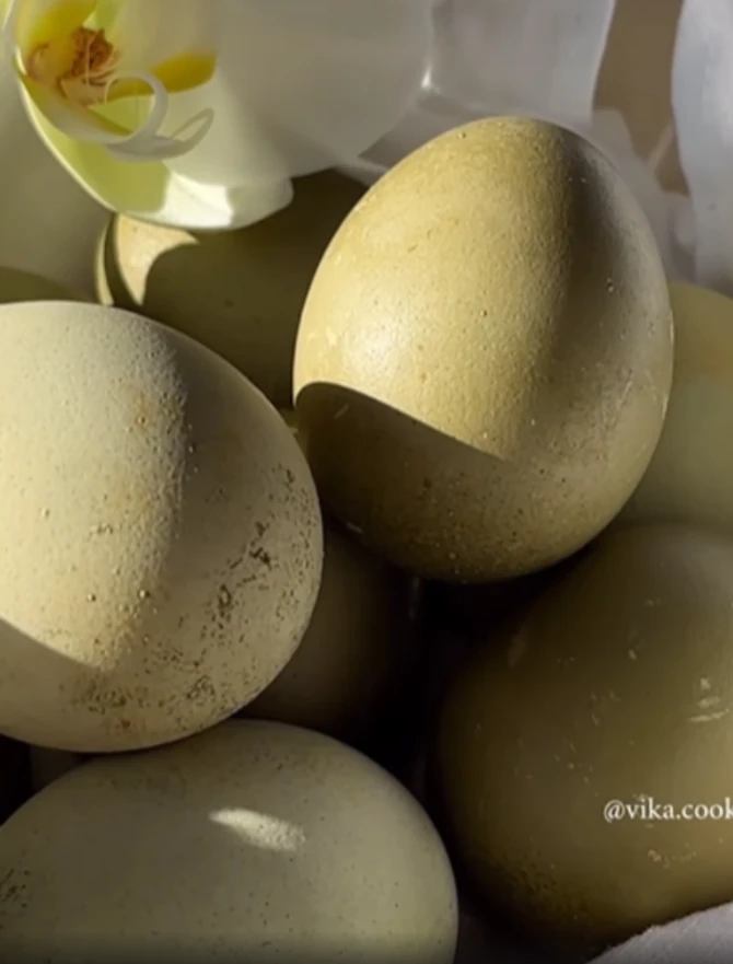 Maslinasto zelena jaja