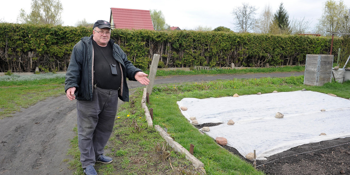 Prezes ściął nam żywopłoty i wystawił faktury!