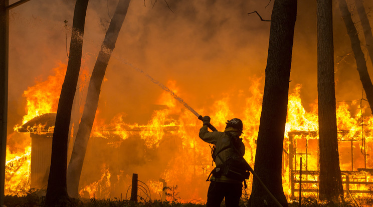 Tűzoltó vív
esélytelen 
harcot egy tömlővel 
a tűz ellen/Fotó:MTI-EPA