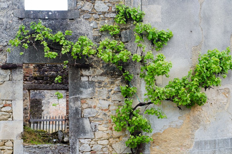 ORADOUR-SUR-GLANE. ŚWIADECTWO OKRUCIEŃSTWA WOJNY