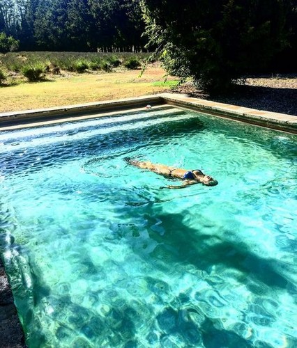 rodzina Kraśków na wakacjach / fot. z profilu Karoliny Ferenstein-Kraśko