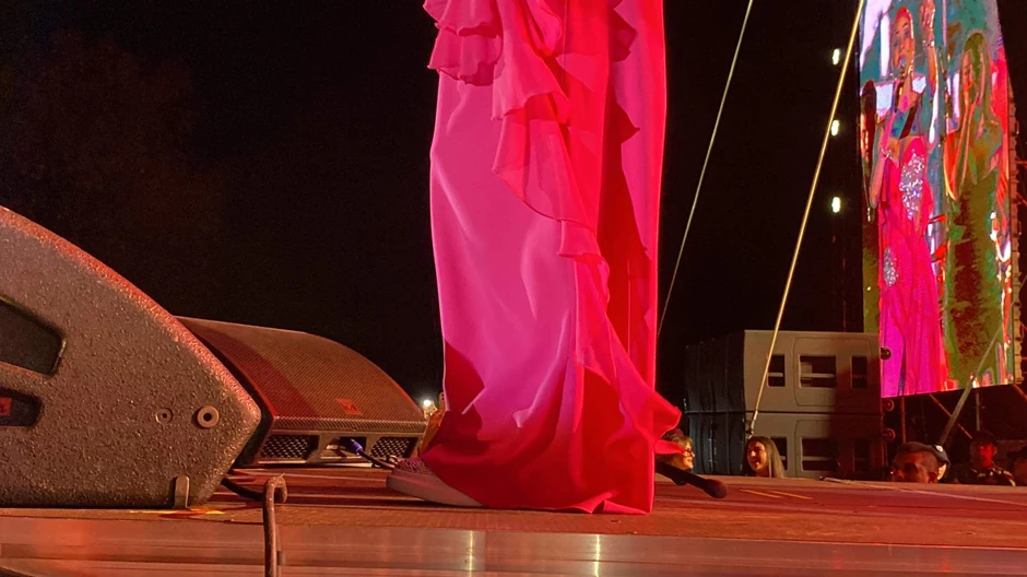 Ceca Ražnatović koncert u Nišu