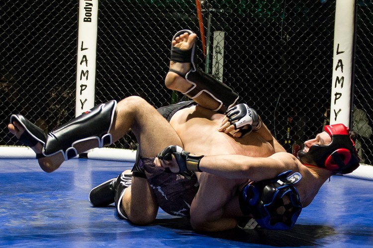 Polscy żołnierze biją się w klatce