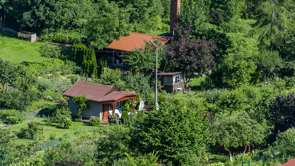 Rodzinne ogródki działkowe podbijają serca Polaków