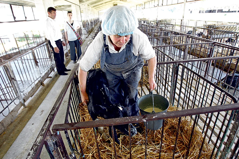 pkb mleko 14062013 foto 129