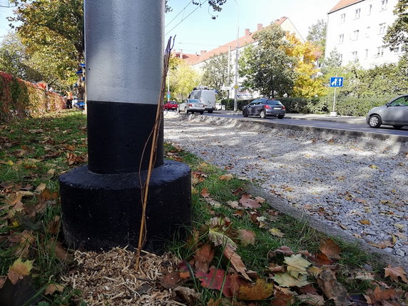 Zielone słupy trakcyjne we Wrocławiu