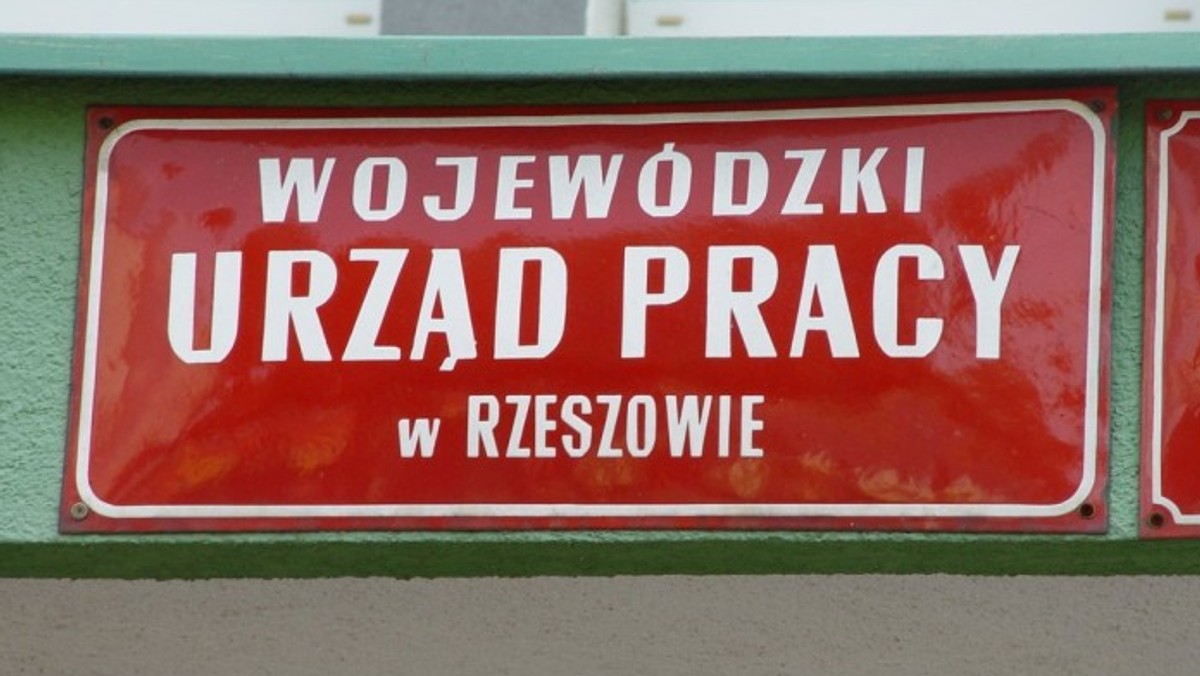 Spadła liczba osób bezrobotnych w województwie podkarpackim. Na koniec lipca w porównaniu z czerwcem była o ponad 840 osób niższa. W powiatowych urzędach pracy było zarejestrowanych blisko 135 800 bezrobotnych. To o prawie 10,5 tys. mniej niż przed rokiem. Na koniec lipca stopa bezrobocia dla województwa podkarpackiego wynosiła 14,7%, a więc była wyższa od stopy bezrobocia dla Polski (12%) o 2,7 pkt. proc.