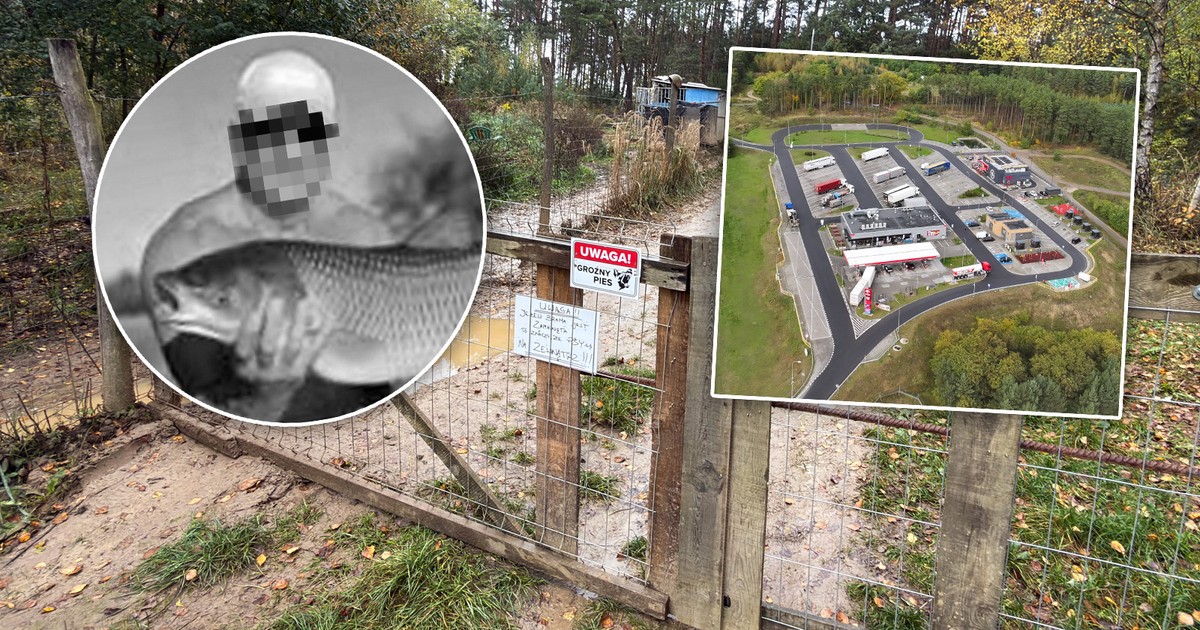 46-letni Marcin został rozszarpany przez psy. Policja przerywa milczenie. "Wszyscy jesteśmy poruszeni"