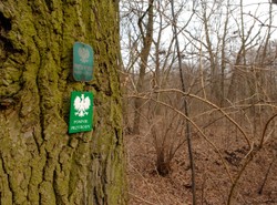 Warszawa coraz zieleńsza