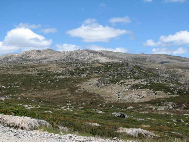 Galeria Australia - Kosciuszko National Park, obrazek 16