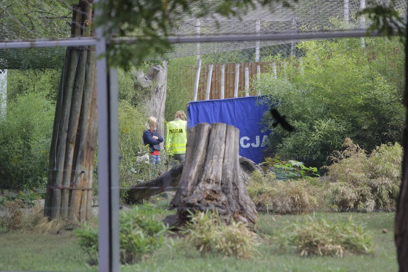 To wina człowieka, a nie zwierzęcia