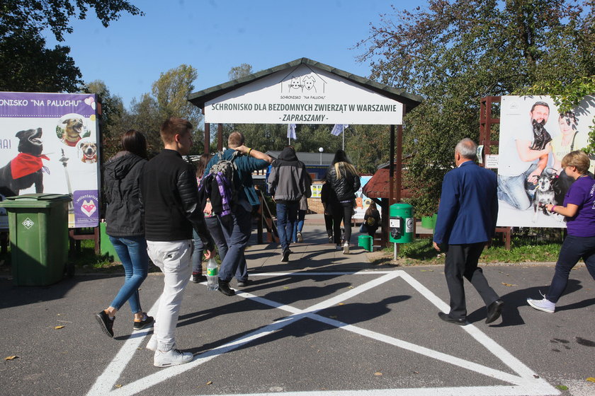 Schronisko Na Paluchu ma otrzymać imię Jana Lityńskiego