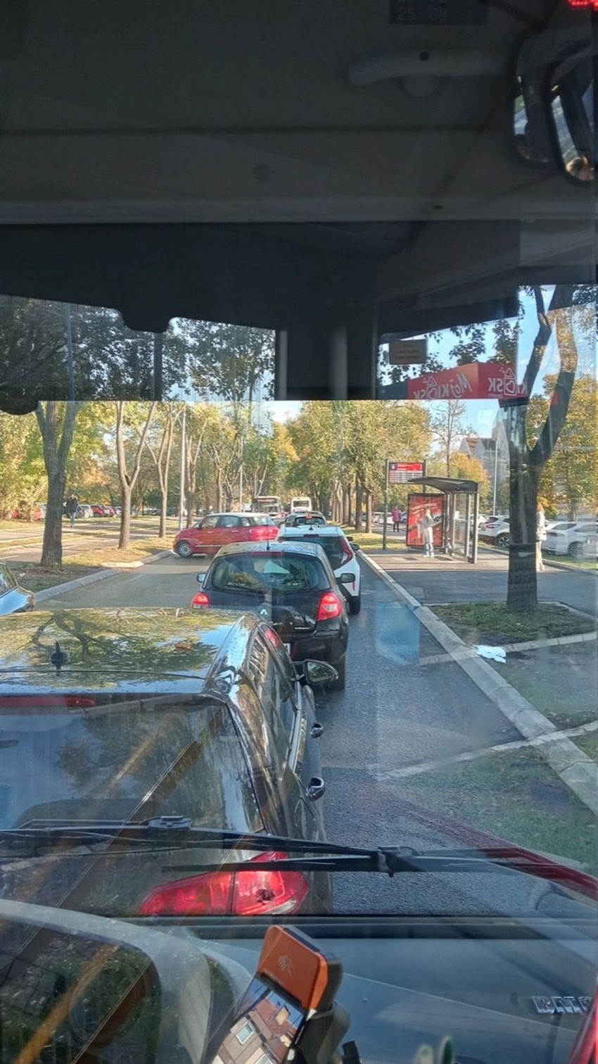 Gužva na Bulevaru oslobođenja