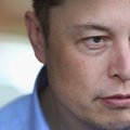 Elon Musk zwolnił asystentkę, bo... nie była niezastąpiona?