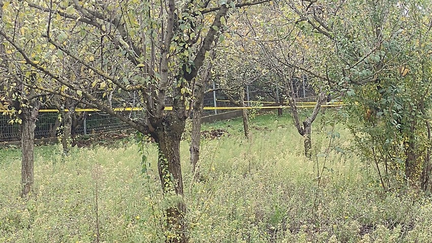 Kuća Džolićevog sina, Moravac