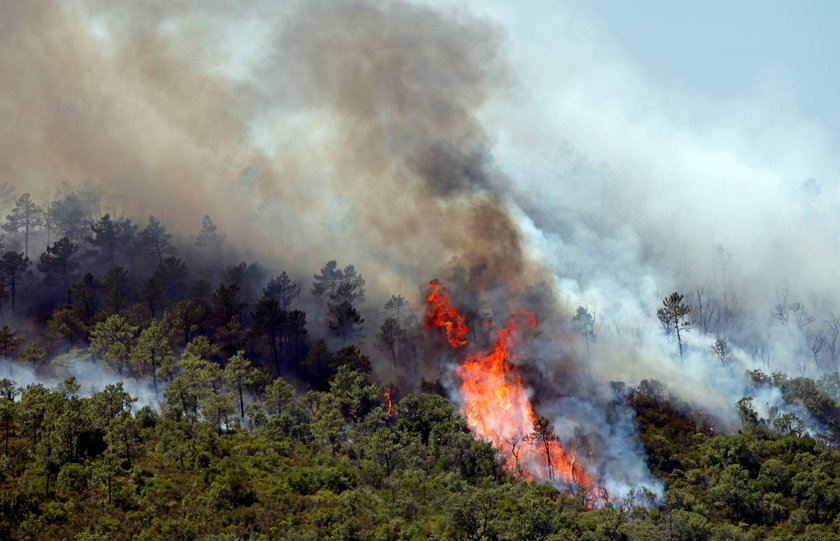 Pożar w Bormes-les-Mimosas na południu Francji