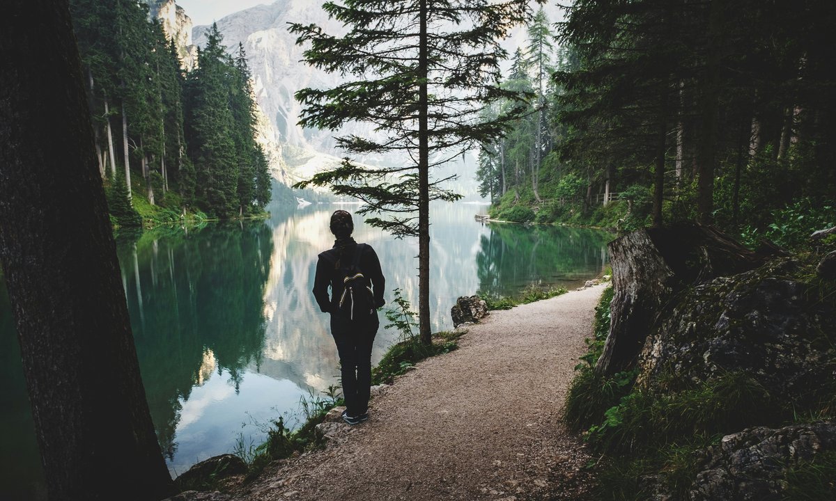 Kontakt ludzi z naturą drastycznie zmalał. Wyliczono, jak bardzo